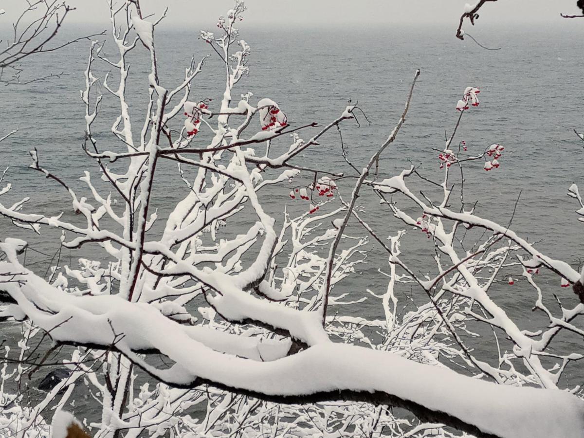 Cliff Dweller On Lake Superior Tofte ภายนอก รูปภาพ
